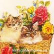 Designer greeting cards for cat lovers-1